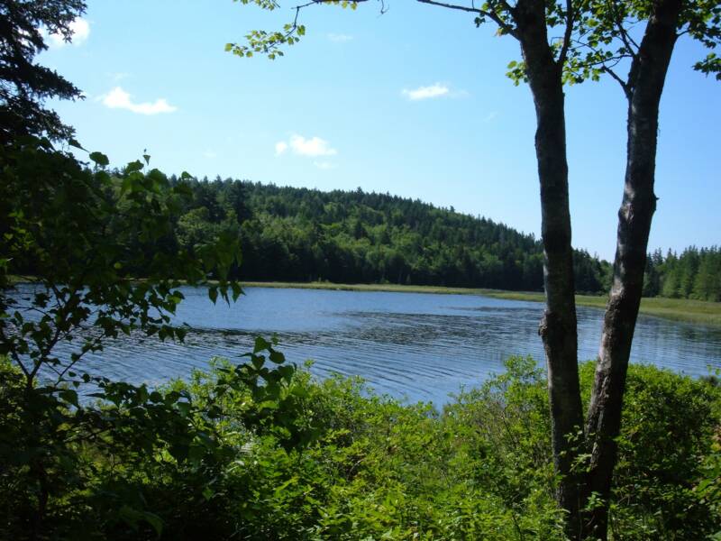 Cottage_2_view_down_pond_07-05_op_800x600
