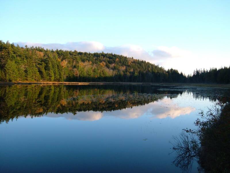 Oct_06_pond_2_op_800x600