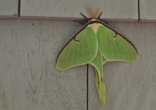 P6023934