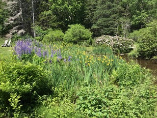 Smaller of two Little Ponds