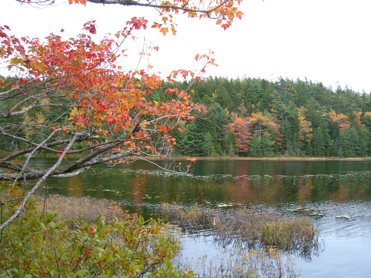 DSCF0672