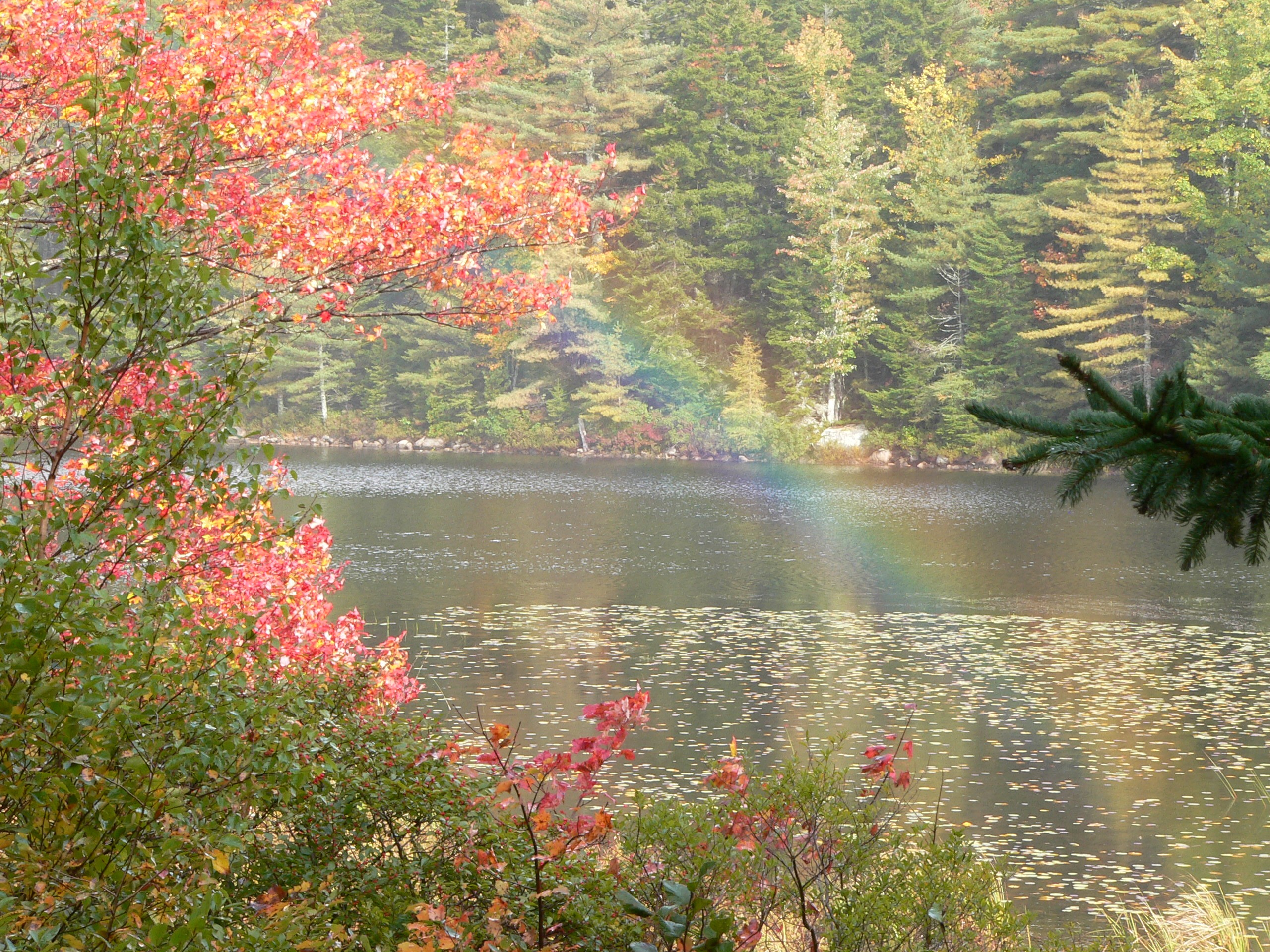 Rainbow by Schantz