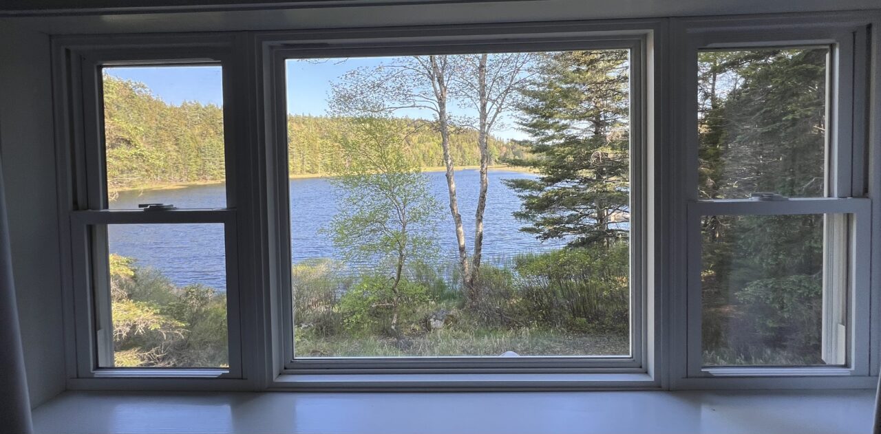 VIEW FROM MAIN BEDROOM